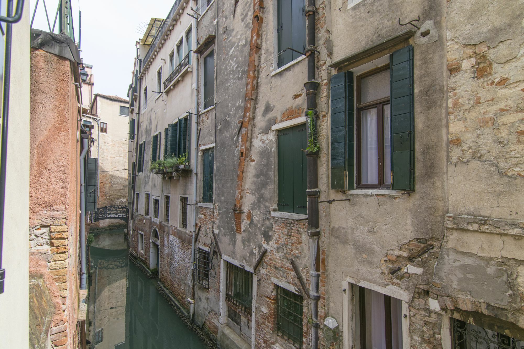 Love Gentile Venice Luaran gambar
